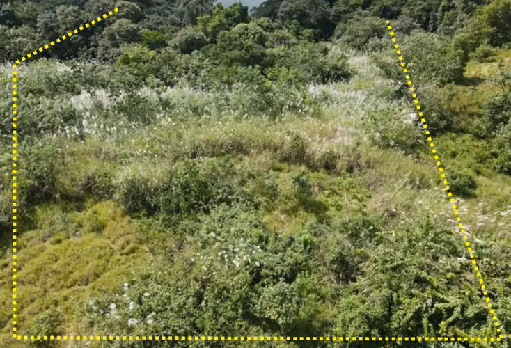 Venta de Terreno en Isla Verde, Colón, 4,041m2