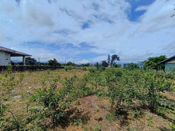Se vende lote en Boquete, Chiriquí. - Imagen 6