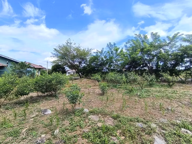 Se vende lote en Boquete, Chiriquí. - Imagen 5