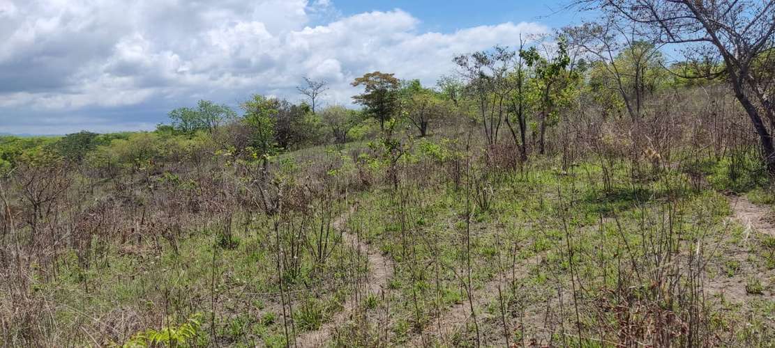 Venta Terreno El Higo, San Carlos, Panamà - Imagen 5