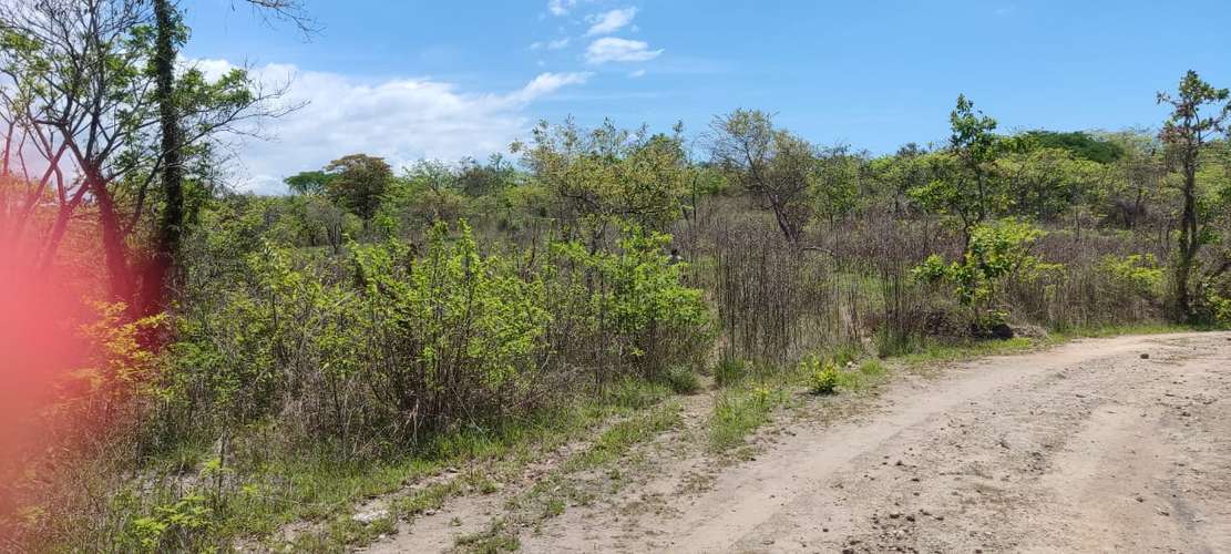 Venta Terreno El Higo, San Carlos, Panamà - Imagen 3