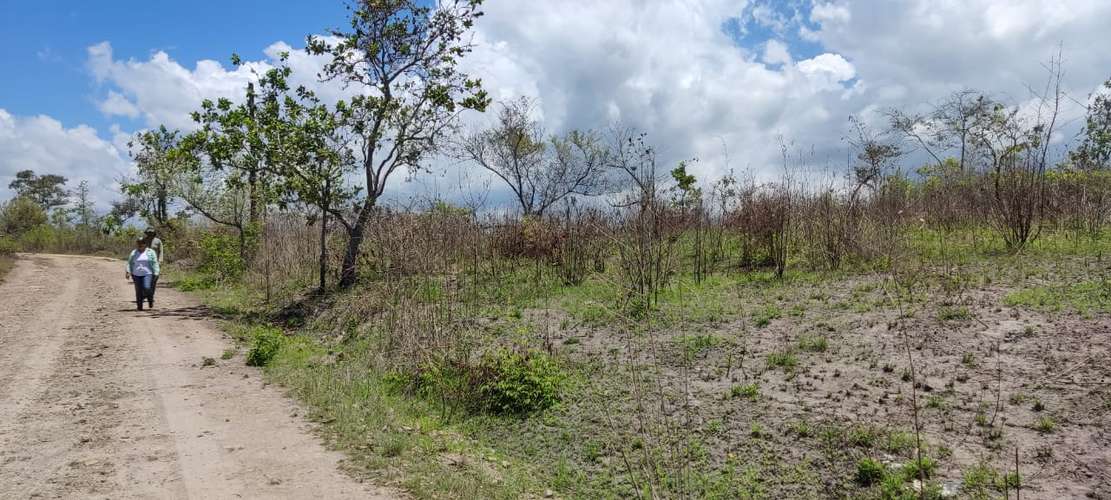 Venta Terreno El Higo, San Carlos, Panamà - Imagen 6