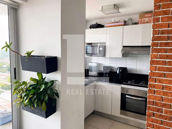Se Vende apartamento en Hato Pintado, PH Sky Level - Imagen 4