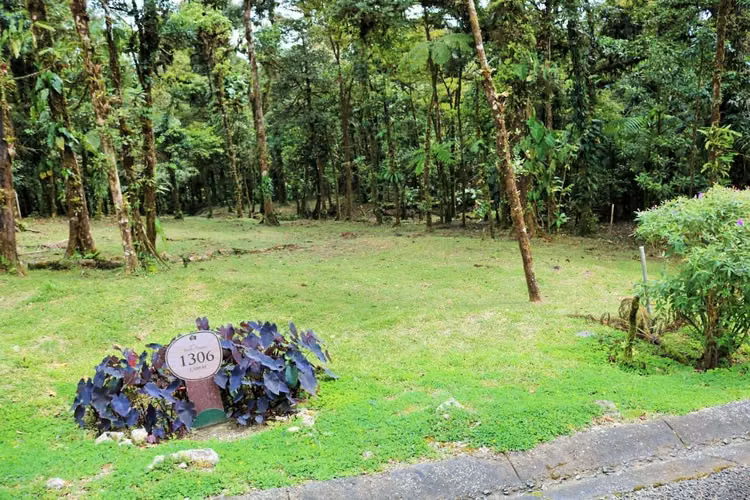 Nuevas Casas en Altos del Maria - Imagen 7
