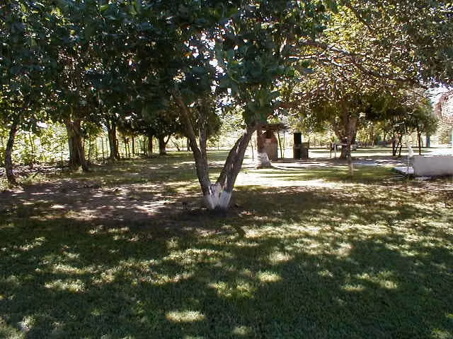 1.6 Hectareas entre  Playa Blanca y Buenaventura - Imagen 6