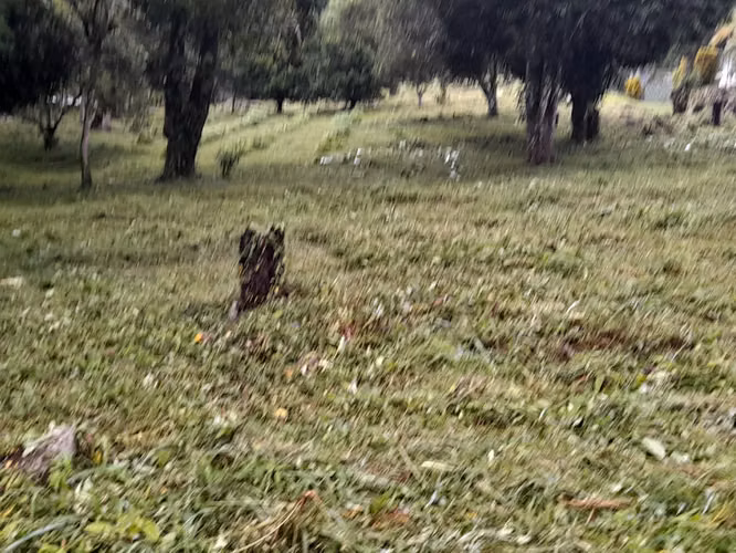 Venta de Terreno en El Valle de Antón, La Pintada, 2,800m2