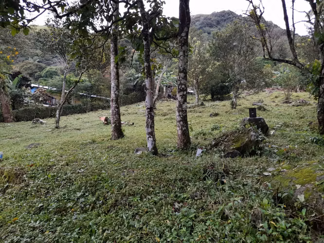 Venta de Terreno en El Valle de Antón, La Pintada, 2,800m2