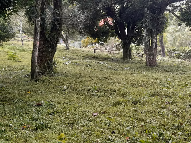 Venta de Terreno en El Valle de Antón, La Pintada, 2,800m2