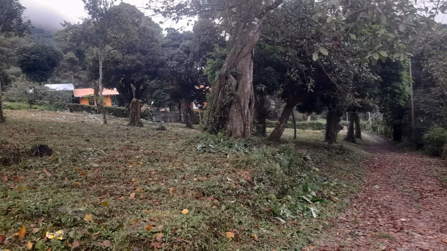 Venta de Terreno en El Valle de Antón, La Pintada, 2,800m2