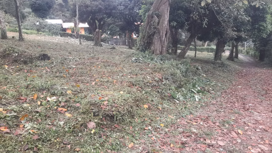 Venta de Terreno en El Valle de Antón, La Pintada, 2,800m2