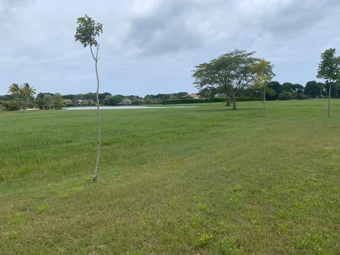 VENDO TERRENO BUENAVENTURA (4111m2) - Imagen 8