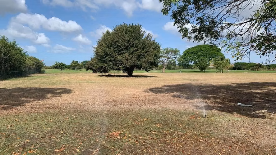 VENDO TERRENO BUENAVENTURA (4111m2) - Imagen 3