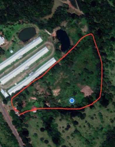 Finca en La Arenosa | 2.5 Hectáreas · 2 Casas – $195,000 - Imagen 2