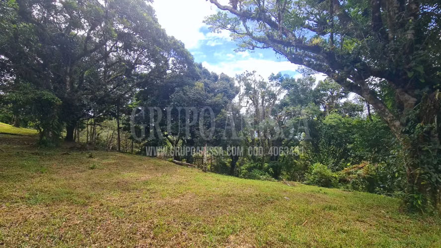Oportunidad! Se Vende Terreno en Zona Alta de Altos del Maria - Imagen 2