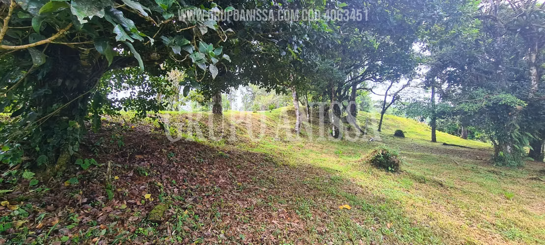 Oportunidad! Se Vende Terreno en Zona Alta de Altos del Maria - Imagen 6