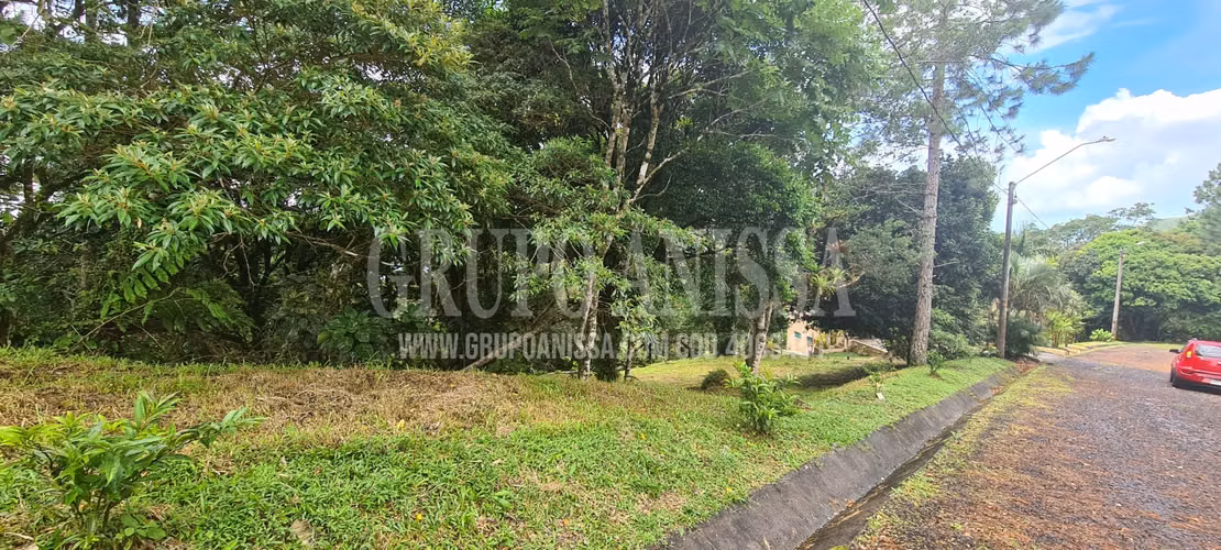 Oportunidad! Se Vende Terreno en Zona Alta de Altos del Maria - Imagen 4