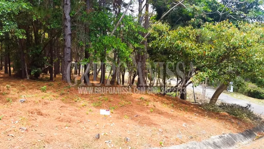 Se Vende Hermoso lote de Esquina en Altos del Maria