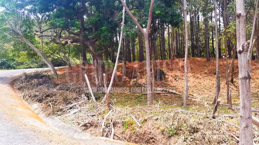 Se Vende Hermoso lote de Esquina en Altos del Maria - Imagen 2