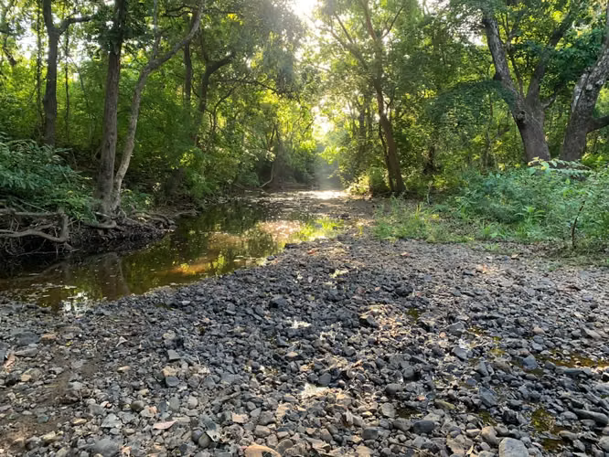 Venta Finca en Natá, Coclé de 86 hectáreas