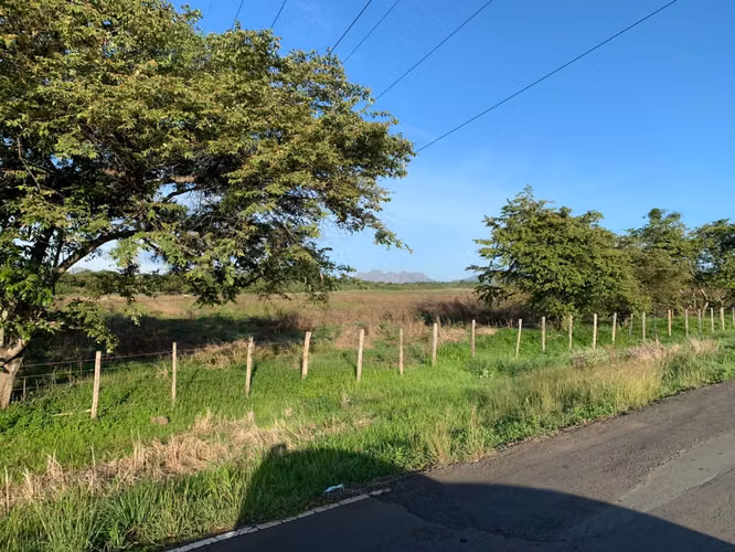 Venta Finca en Natá, Coclé de 86 hectáreas