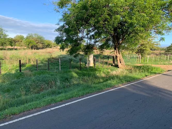 Venta Finca en Natá, Coclé de 86 hectáreas