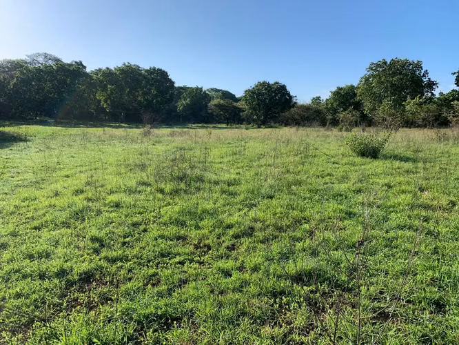Venta Finca en Natá, Coclé de 86 hectáreas