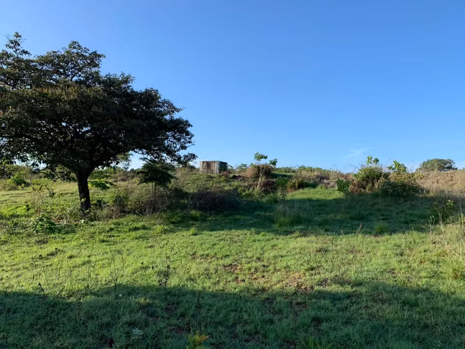 Venta Finca en Natá, Coclé de 86 hectáreas