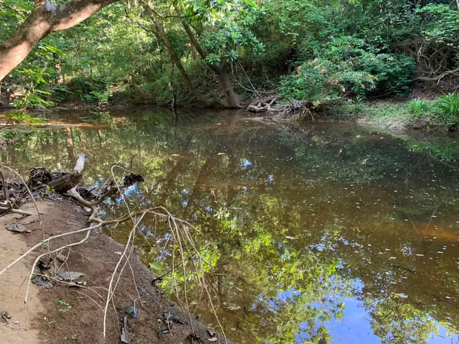 Venta Finca en Natá, Coclé de 86 hectáreas