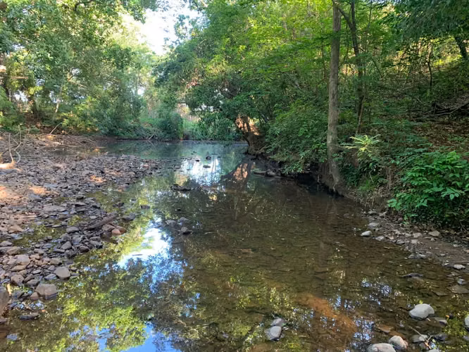 Venta Finca en Natá, Coclé de 86 hectáreas