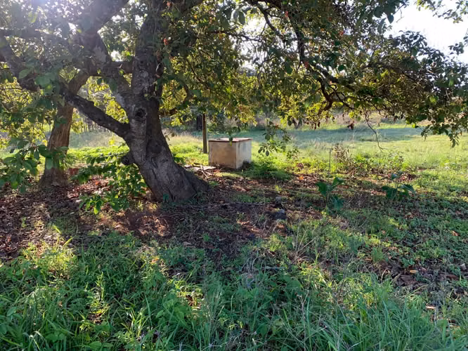 Venta Finca en Natá, Coclé de 86 hectáreas