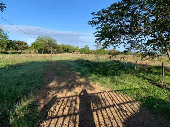 Venta Finca en Natá, Coclé de 86 hectáreas