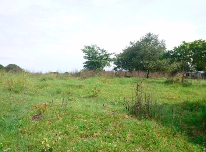 TERRENO COMERCIAL EN LA PANAMERICANA | SANTIAGO | VERAGUAS - Imagen 4