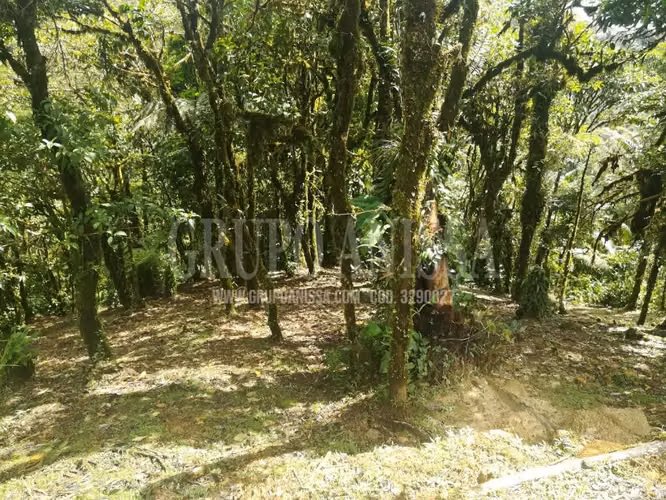 Oportunidad! Sea Dueño de Un Macro-lote Premium en Altos del Maria - Imagen 18