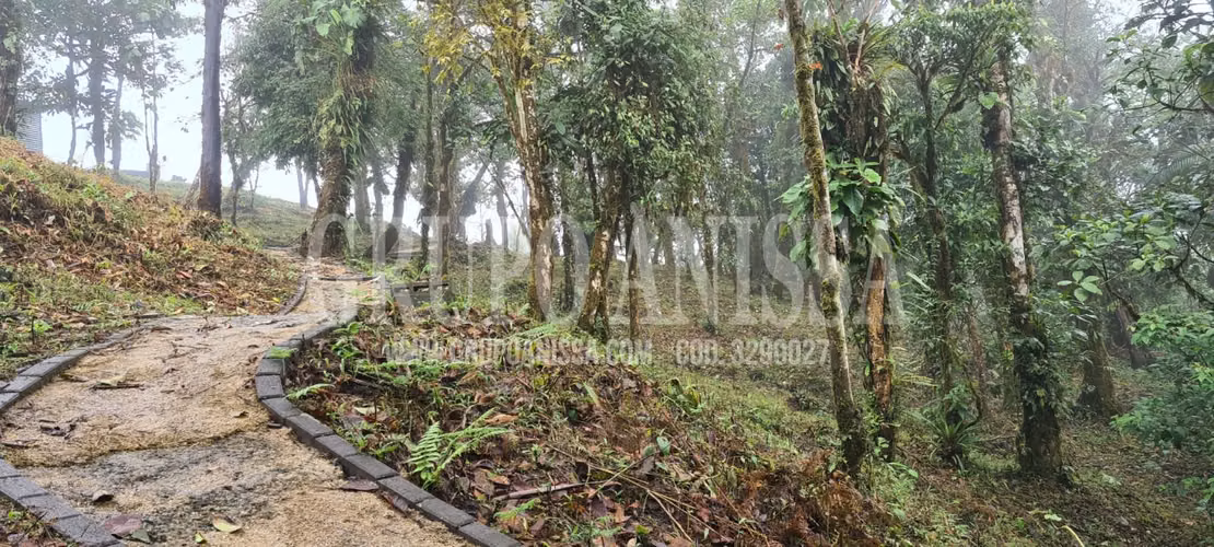 Oportunidad! Sea Dueño de Un Macro-lote Premium en Altos del Maria - Imagen 5