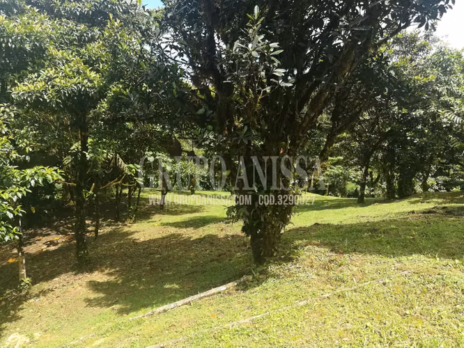 Oportunidad! Sea Dueño de Un Macro-lote Premium en Altos del Maria - Imagen 16