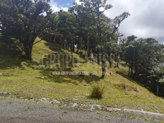 Oportunidad! Sea Dueño de Un Macro-lote Premium en Altos del Maria - Imagen 17