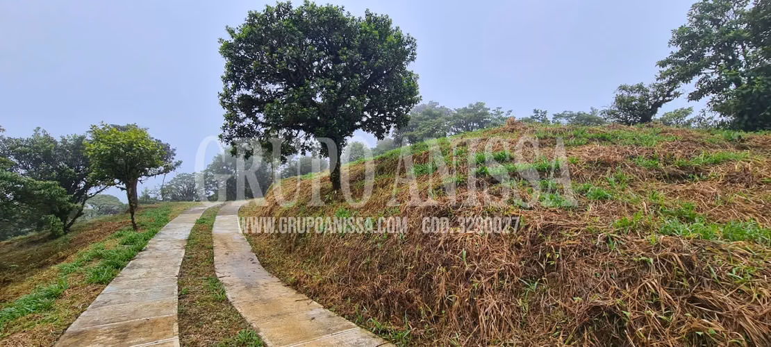 Oportunidad! Sea Dueño de Un Macro-lote Premium en Altos del Maria - Imagen 14