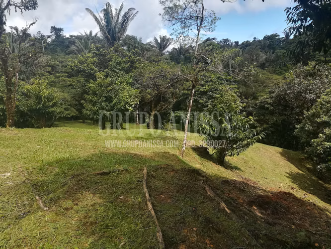 Oportunidad! Sea Dueño de Un Macro-lote Premium en Altos del Maria - Imagen 19