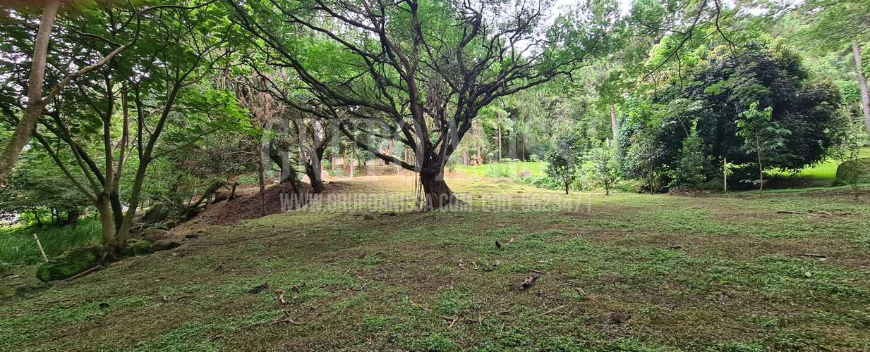 Se Vende Hermoso Terreno Plano en Altos del Maria - Imagen 5