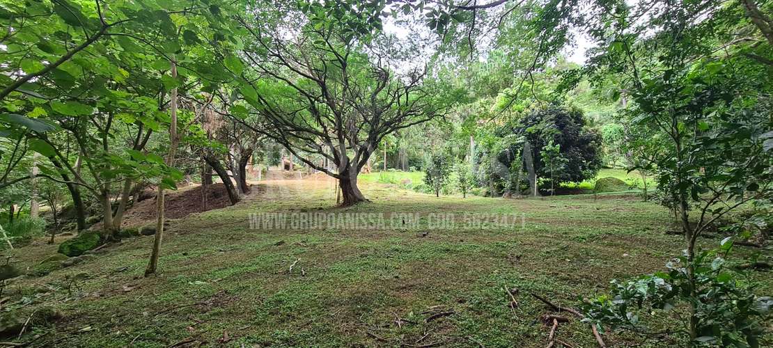 Se Vende Hermoso Terreno Plano en Altos del Maria - Imagen 7