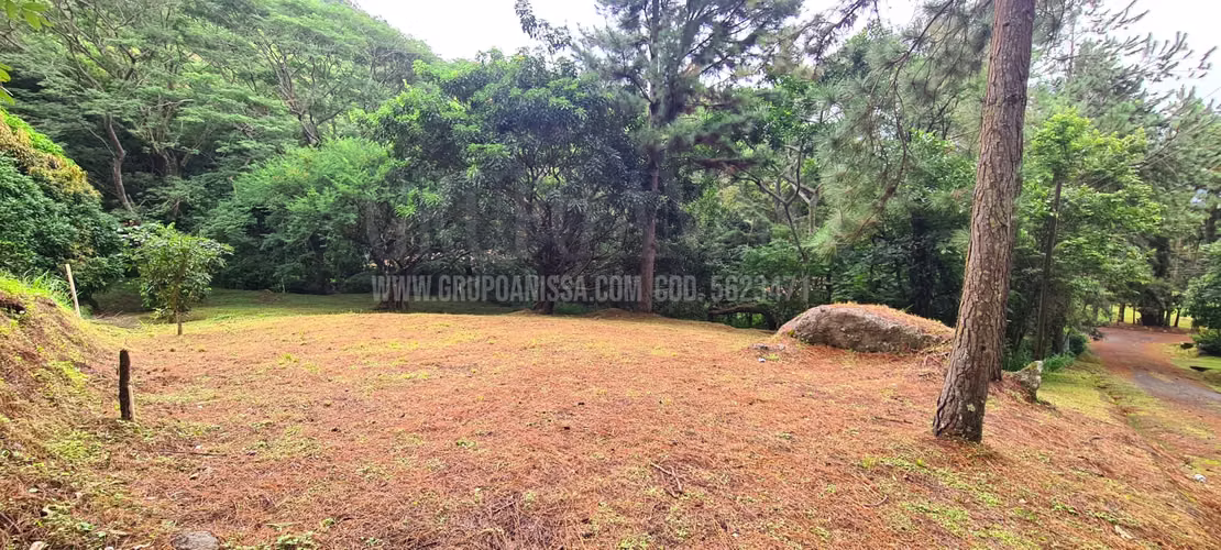 Se Vende Hermoso Terreno Plano en Altos del Maria