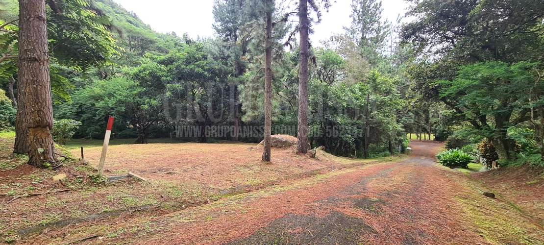 Se Vende Hermoso Terreno Plano en Altos del Maria - Imagen 2