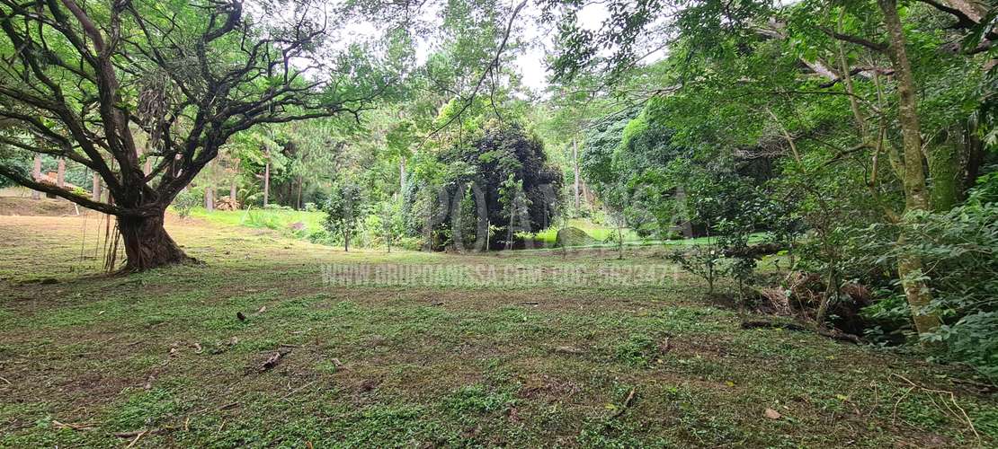 Se Vende Hermoso Terreno Plano en Altos del Maria - Imagen 6