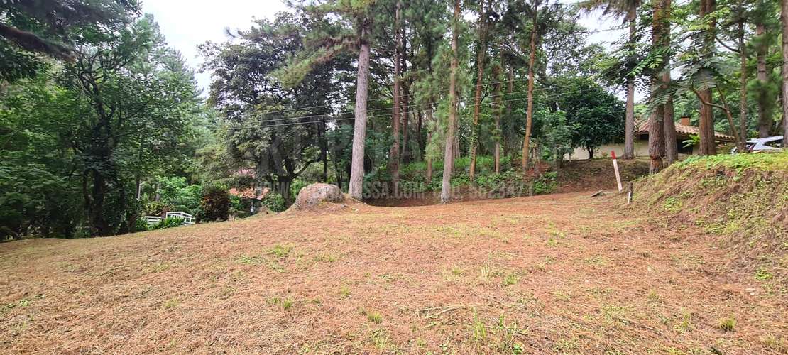 Se Vende Hermoso Terreno Plano en Altos del Maria - Imagen 4