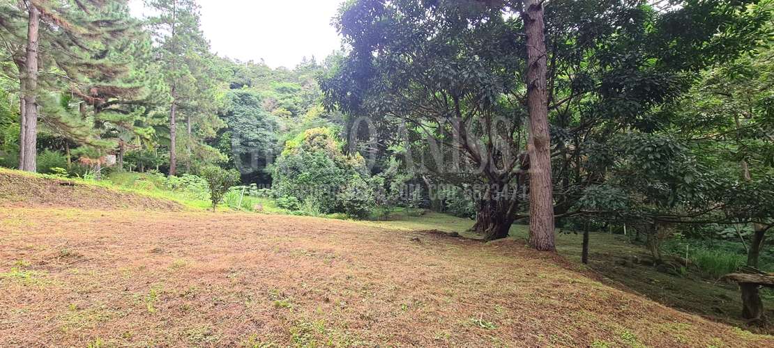 Se Vende Hermoso Terreno Plano en Altos del Maria - Imagen 3
