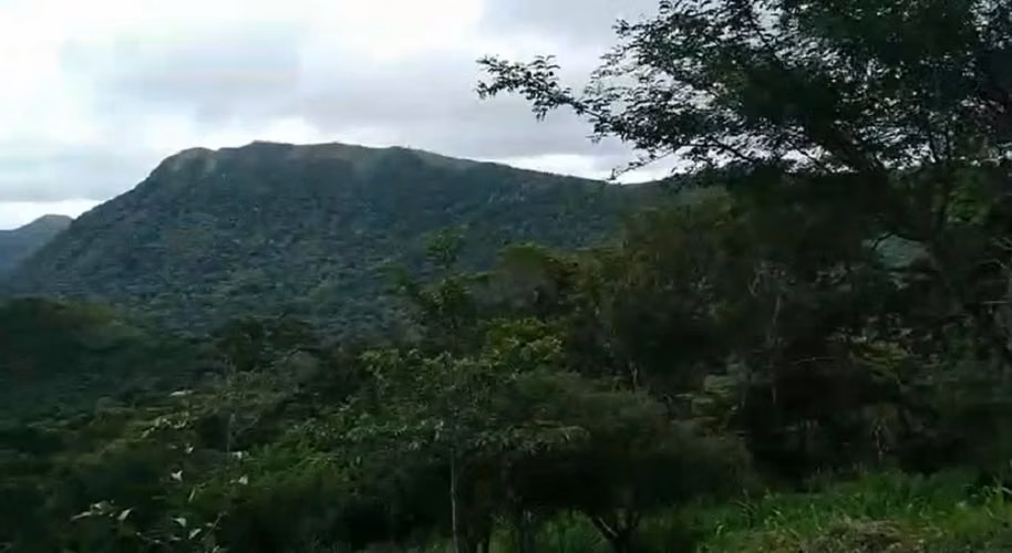 Venta de Terreno en El Valle de Antón, 1 hectárea