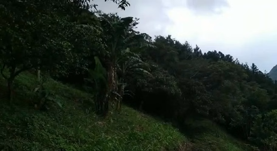 Venta de Terreno en El Valle de Antón, 1 hectárea