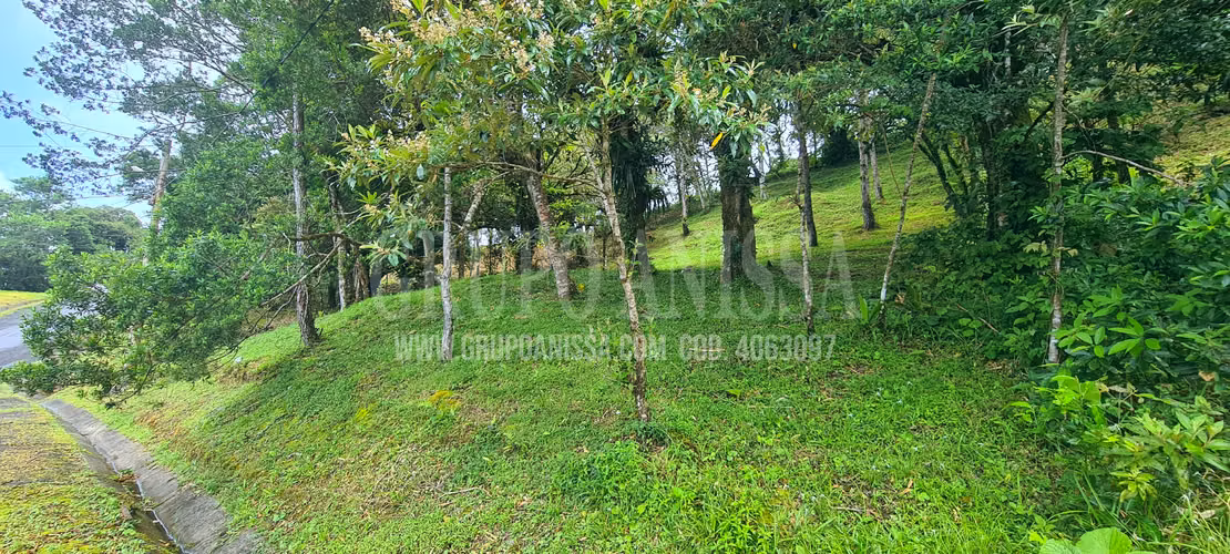 Oportunidad! Se Vende terreno en zona Alta de Altos del Maria - Imagen 2