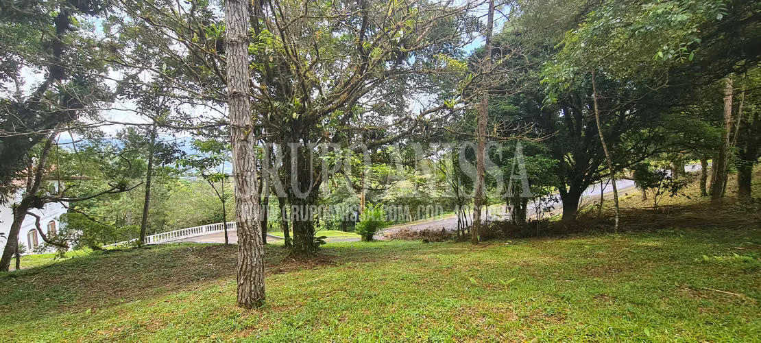 Oportunidad! Se Vende terreno en zona Alta de Altos del Maria - Imagen 5