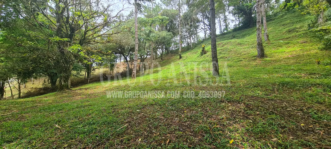 Oportunidad! Se Vende terreno en zona Alta de Altos del Maria - Imagen 3